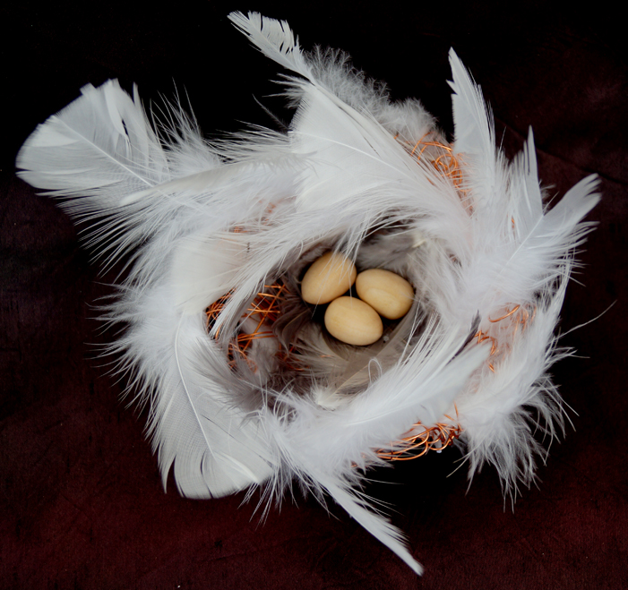 Angel Dove feather nest