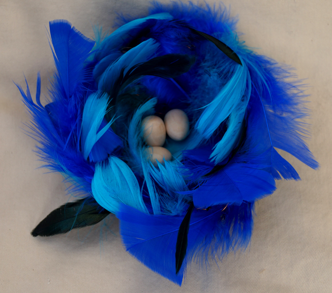 Blue feather nest