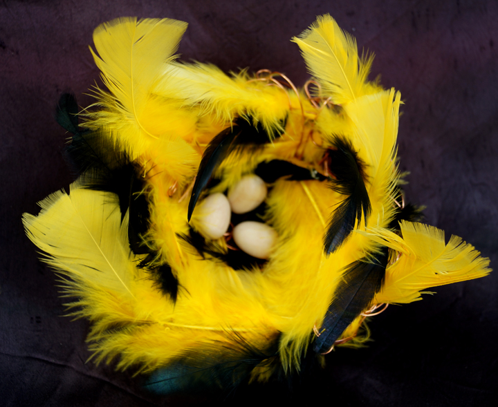 BumbleBee feather nest