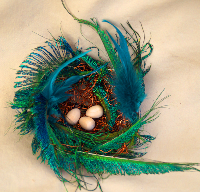 Peacock feather nest