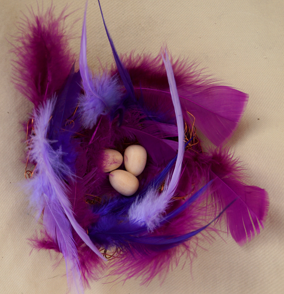 Purple feather nest