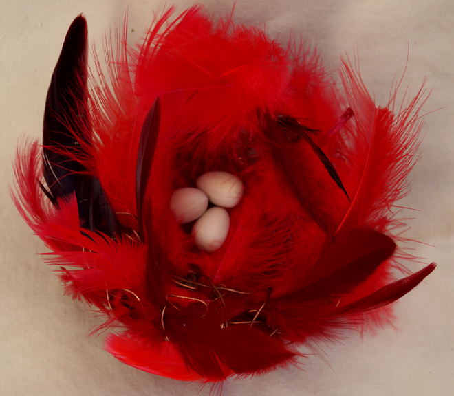 Red feather nest