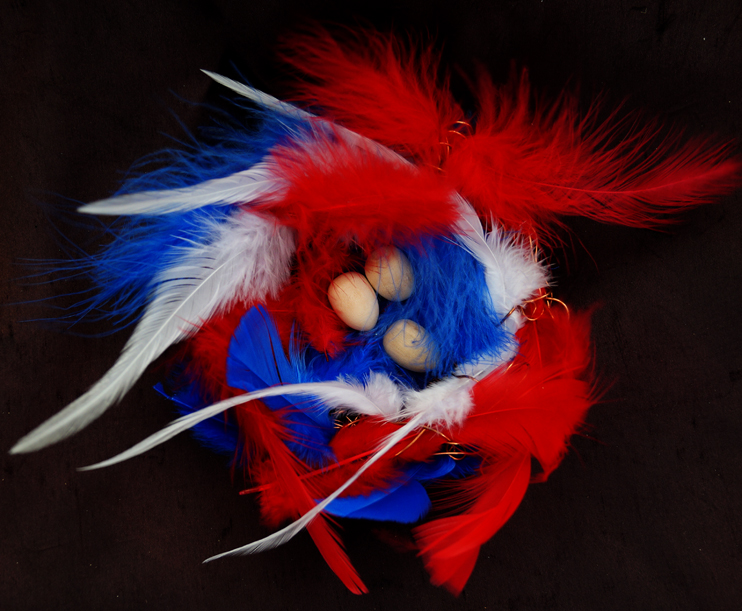 Patriotic feather nest